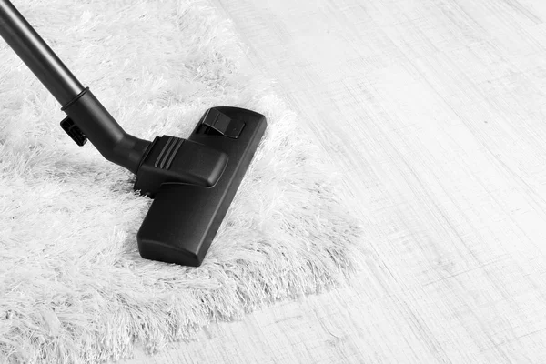Professional carpet cleaning Bronx