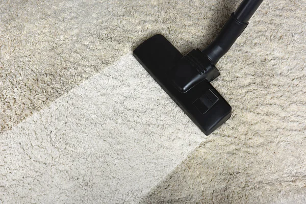 Professional Carpet Cleaning Bronx NY